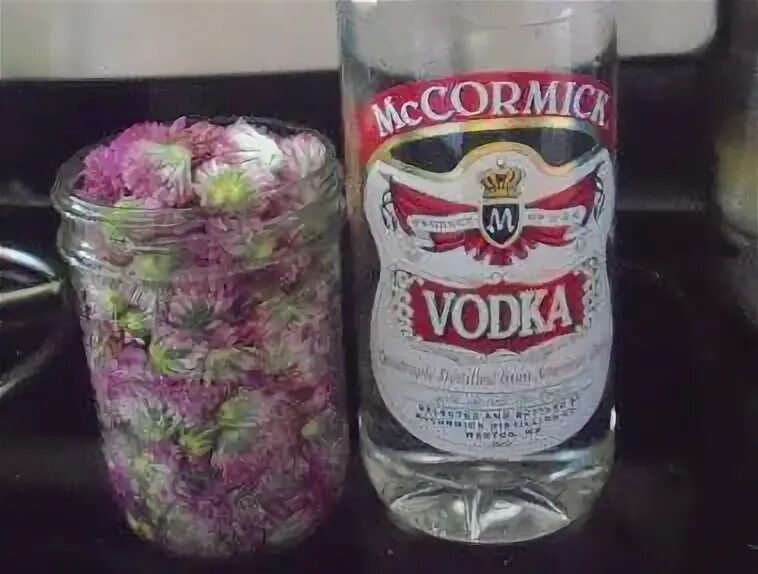 Рецепт настойки клевера. Настойка клевера.
