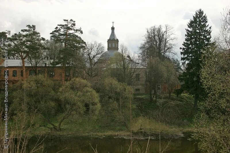 киновия это.