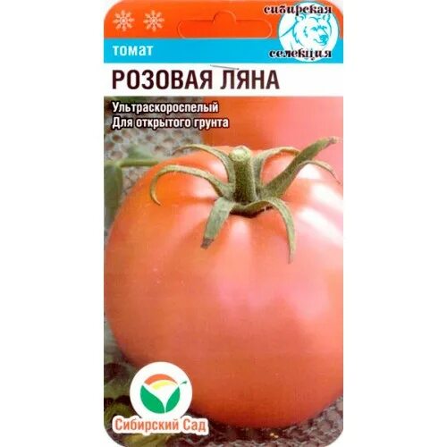 Картинка томат описание: найдено 86 изображений