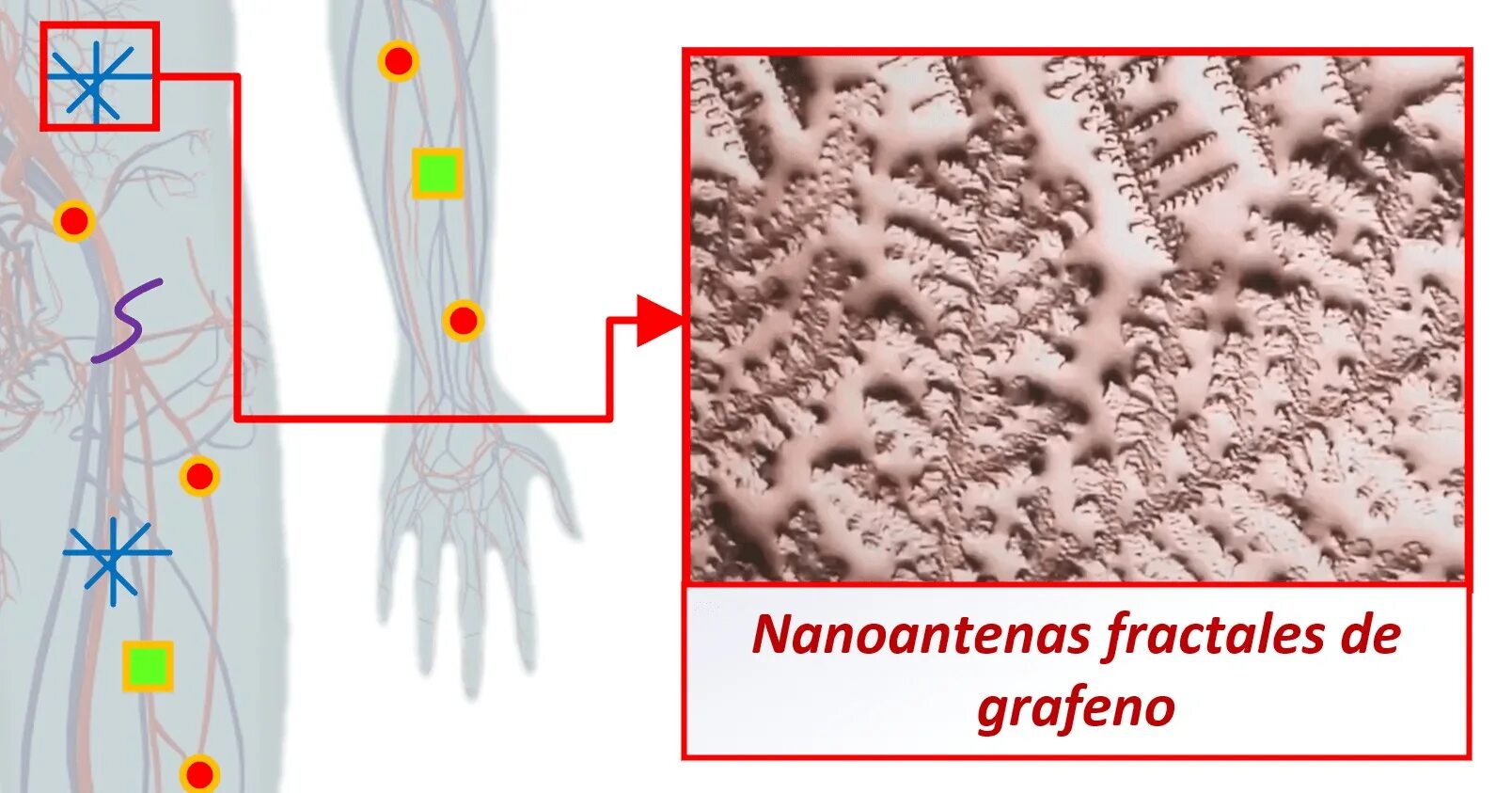 Hot dot nano. Спорт мода нано нанотехнологии. Наносеть внутри человека. Наносеть внутри человека. Наносеть внутри человека.