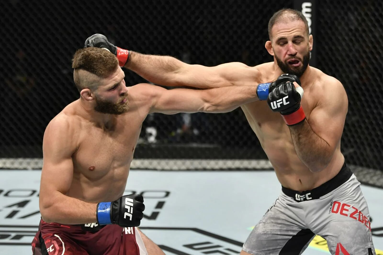 Прохазка ufc. Прохазка боец юфс.