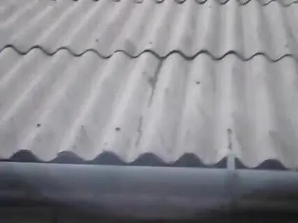 Шифер хомяк 9