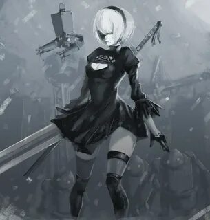 2b ll 2b