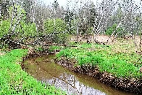 Река на ф