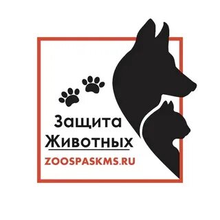 Подари им шанс зоозащитное