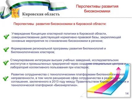 Развитие кировская область