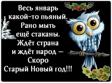 После января какой идет