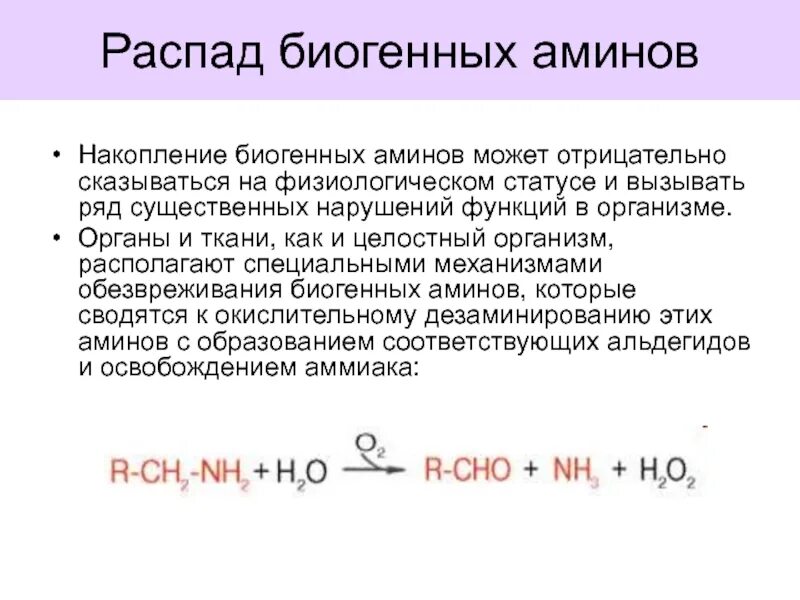 20 распад. Инактивация биогенных Аминов. Обезврежение биогенеых пминоа. Образование и распад биогенных Аминов. Реакция обезвреживания биогенных Аминов.