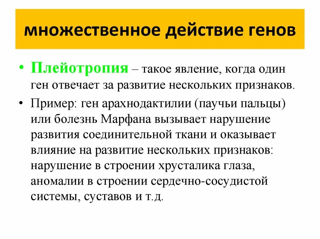 Влияние генов на развитие признаков. Множественное действие генов примеры. множественное действие гена. плейотропия генов примеры. влияние одного гена на развитие нескольких признаков.