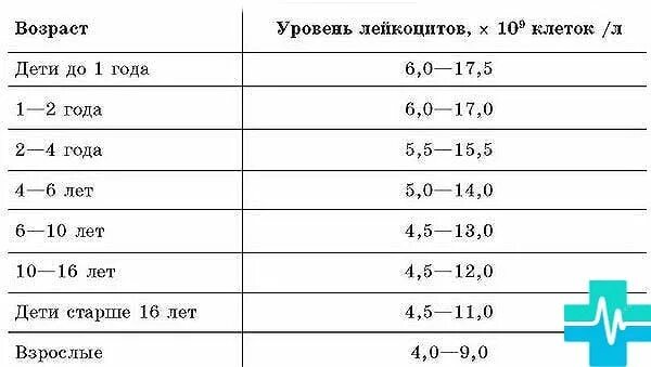 Сколько лейкоцитов в крови норма. Норма лейкоцитов у женщин после 60 лет таблица. Норма лейкоцитов в крови у мужчин. Показатель лейкоцитов в крови норма у мужчин. Норма лейкоцитов в крови у женщин после 60 таблица уровня по возрасту.