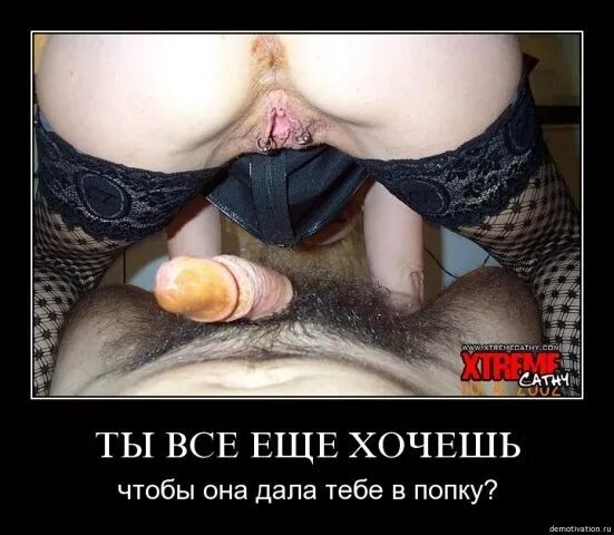 Хватит работать, давай трахаться в жопу