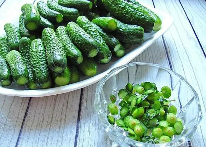 Самый лучший сорт огурцов для засолки. Сорт огурчиков корнишонов. корнишоны пикули сорта. огурцы маленькие сорта корнишоны. пикули корнишоны зеленцы.