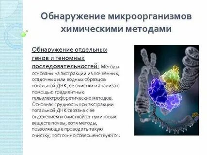Методы выявления бактерий