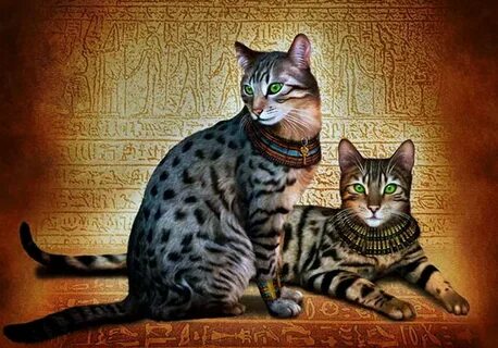 Про египетскую кошку
