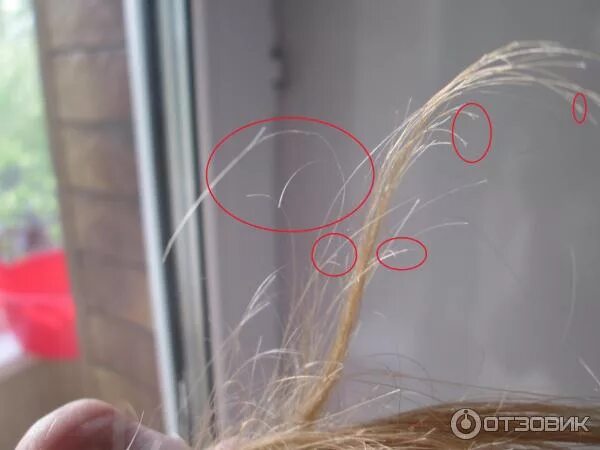 Причины сечения волос. Волосы расслаиваются. Волосы обламываются по всей длине. Расслаиваются волосы на кончиках.