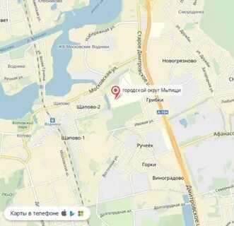 Грибки мытищинский