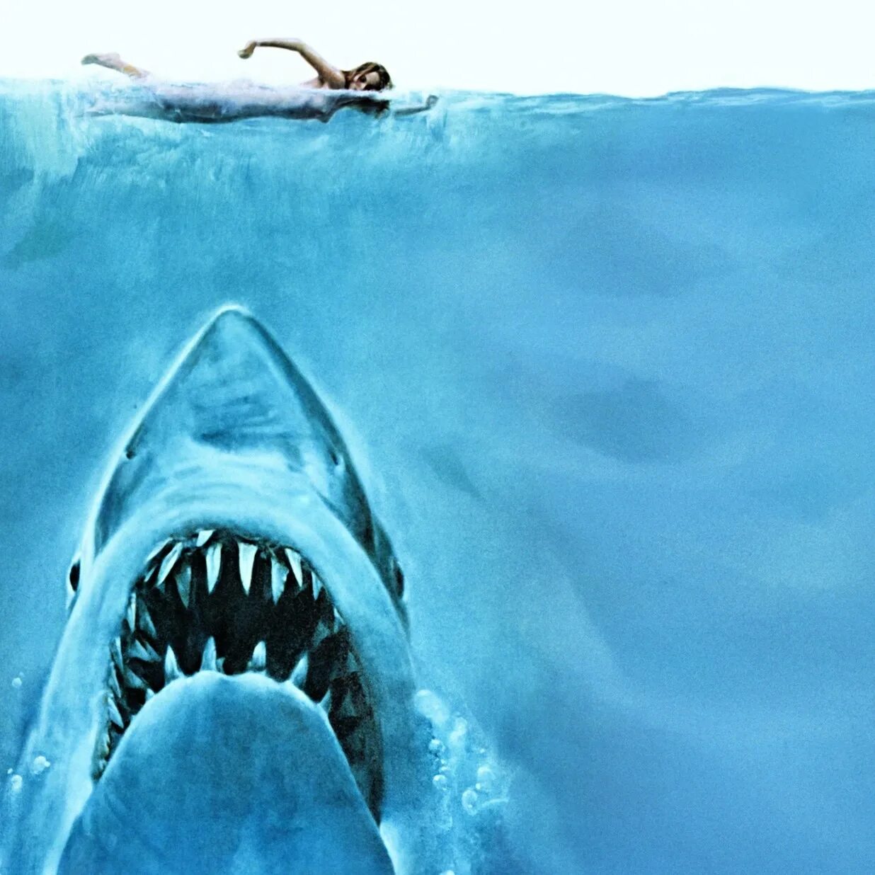 Jaws