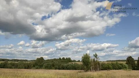 Погода борок рязанская область