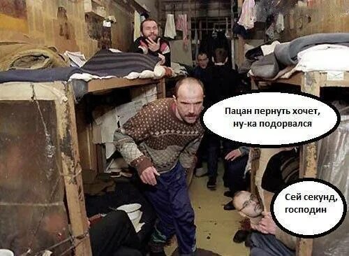 Кто такой водолаз у зеков. Кто такой водолаз у зеков. Лысый уголовник. Кто такой водолаз у зеков. Кто такой водолаз у зеков.
