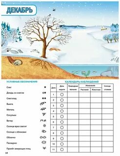 Календарь природы 5 класс география - TouristMaps.ru