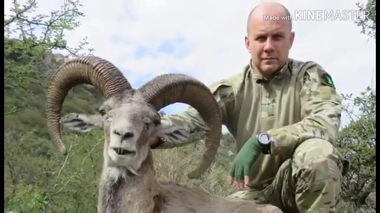 Бендерский. Бахтадзе рамин арнольевич. Бендерский. Бендерский. Бендерский.