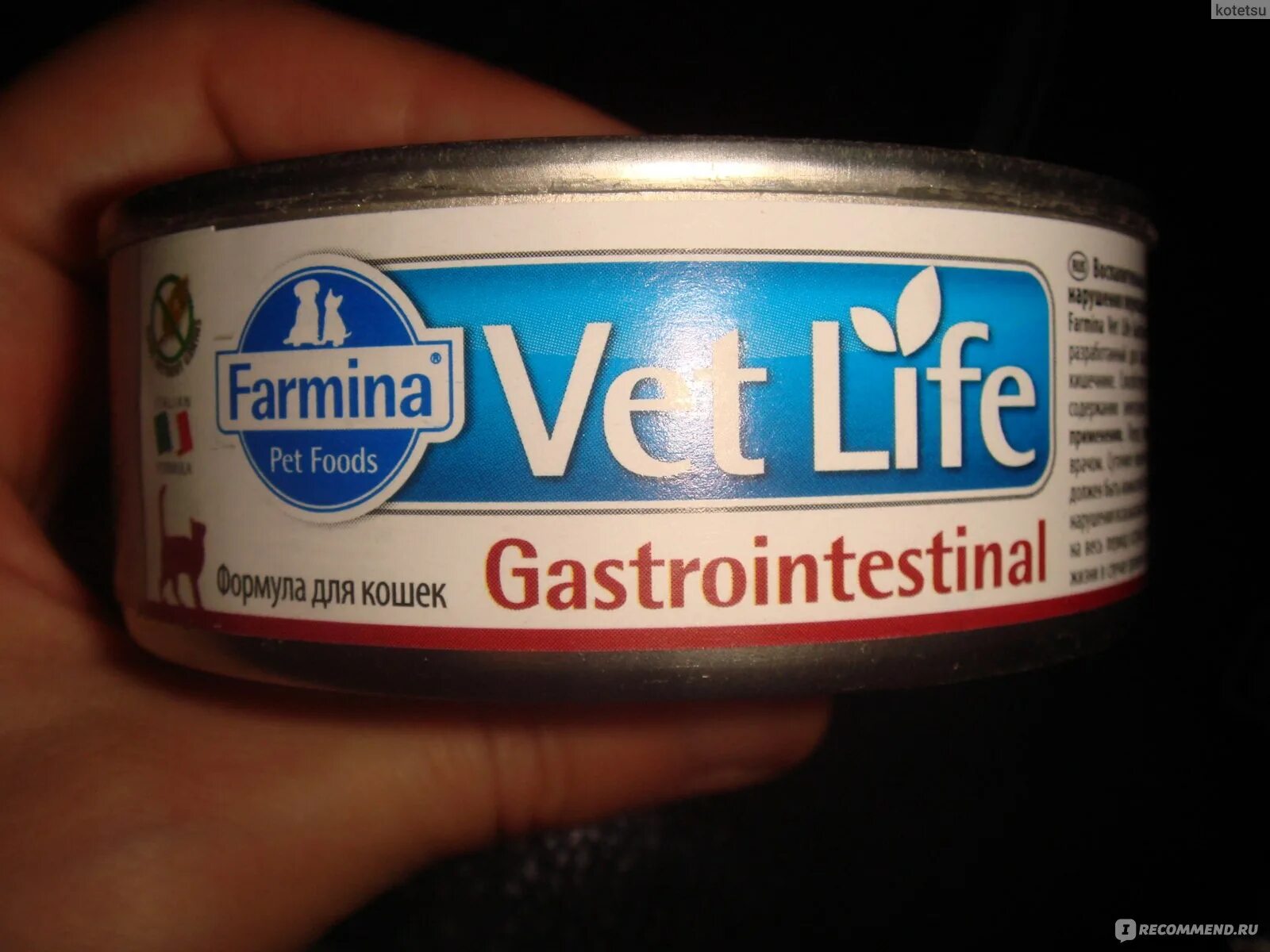 Фармина Gastrointestinal для кошек. Farmina Gastrointestinal для кошек паштет. Vet Life Gastrointestinal корм для кошек. Фармина Ренал для кошек влажный. Farmina влажный для кошек