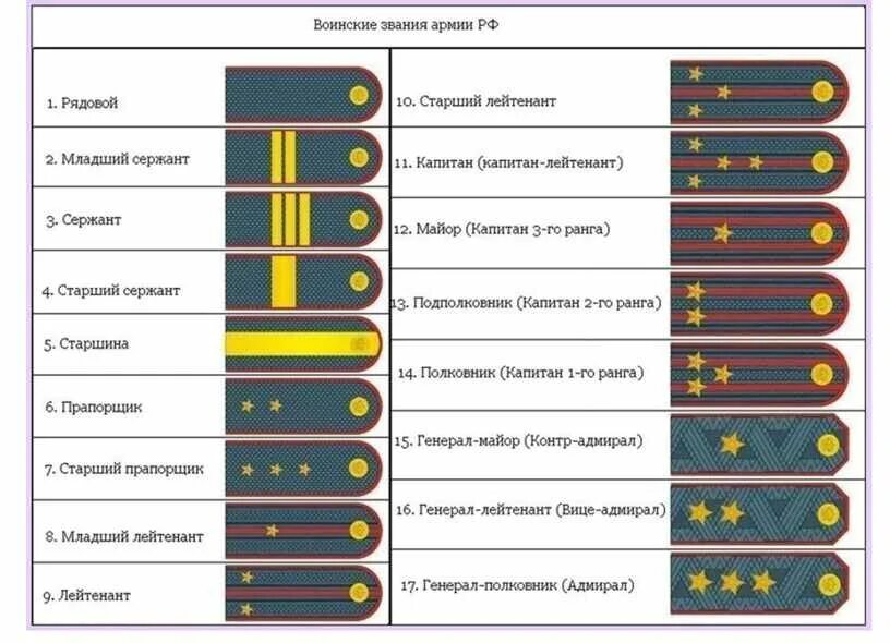 Национальные звания российской федерации. Воинские звания и погоны Российской армии. Звёзды на погонах звания МВД. Погоны и звания в армии России по возрастанию. Три полоски на погонах звание полиции.