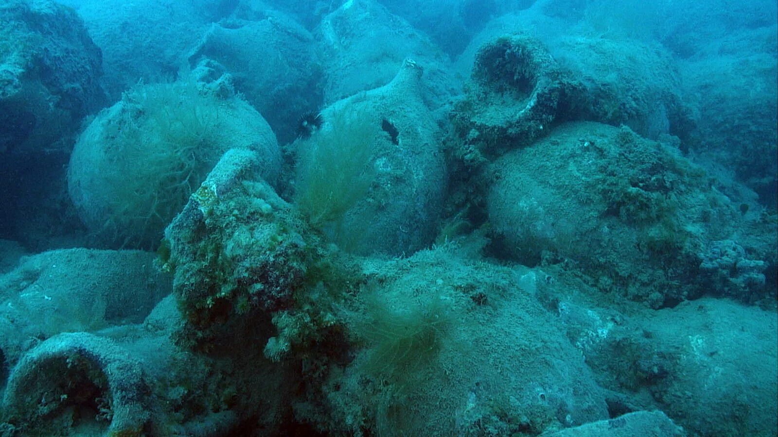 Затонувший город Диоскурия. Морское дно. Дно моря. Морское дно черного моря.