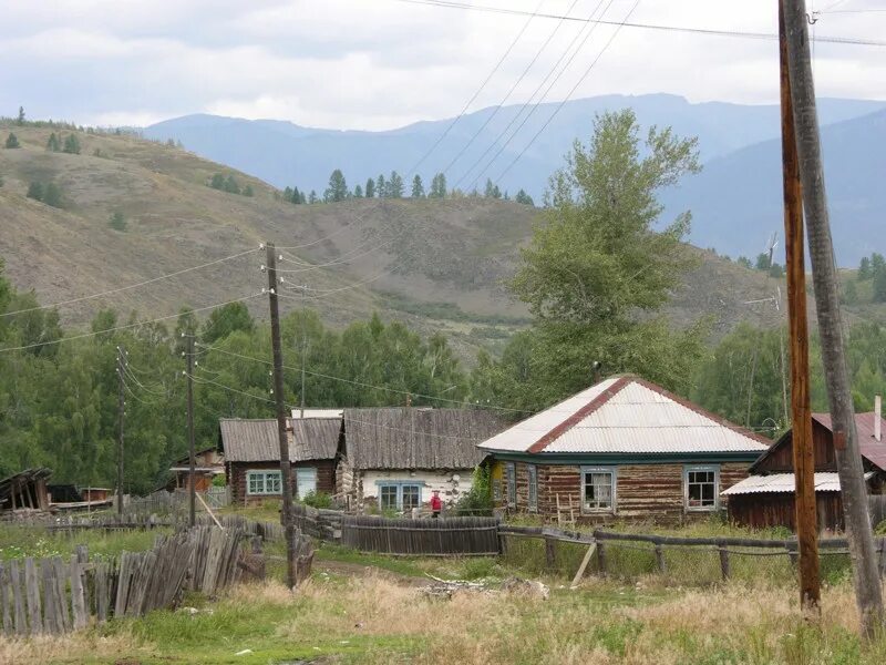 Погода замульта республика алтай. Поселок замульта горный алтай. Село тюнгур горный алтай. Погода замульта республика алтай. П замульта.