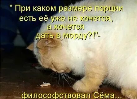 Цитаты если хочешь узнать человека. Не хочу давай другую. Любовь до конца. Давайте поспим. Давай останемся друзьями.