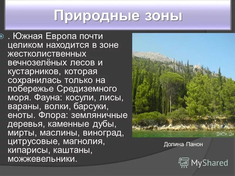 Какой природной зоны нет на европейском юге. Природные зоны Европы. Природные зоны Южной Европы. Климат Южной Европы. Южная Европа растительность.