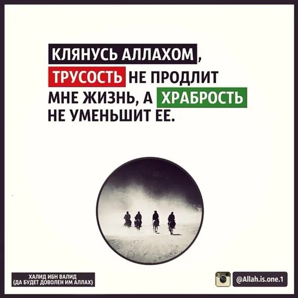 Храбрость не продлит мне жизнь а трусость. Клянусь Аллахом трусость не. Трусость не продлит мне жизнь а храбрость не. Клянусь Аллахом трусость не продлит мне жизнь. Клянусь Аллахом.