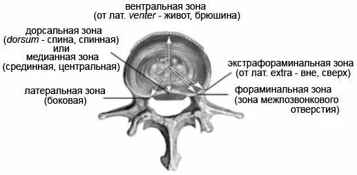 3 4 5 межпозвоночного диска. Стеноз левого межпозвонкового отверстия с6-с7. Просвет позвоночного канала на уровне с6-с7. Дорзальные экструзии дисков шейного отдела. Сагиттальный стеноз позвоночного канала с5-с7.