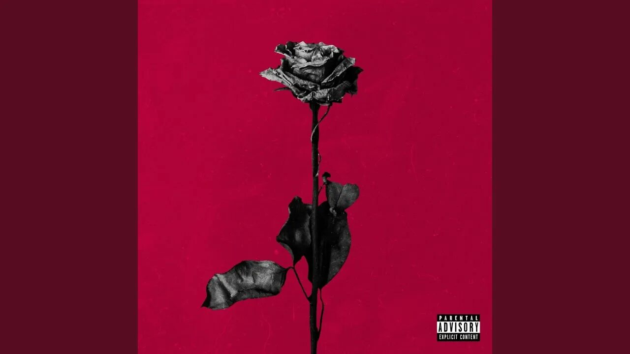Idfc soap speed. Idfc blackbear обложка трека. blackbear deadroses album. blackbear deadroses обложка альбома. idfc blackbear dead.