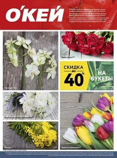 Тюльпаны в окее