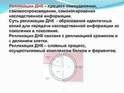 Репликация генетического материала