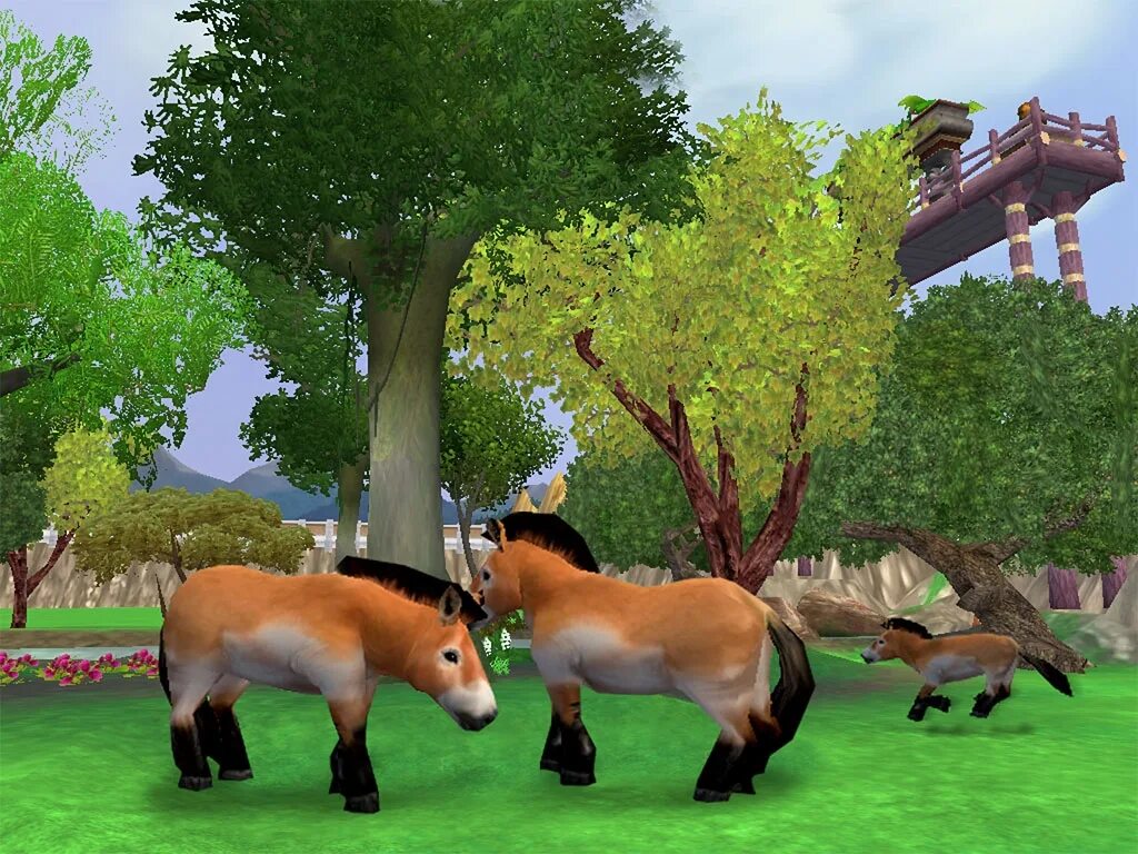 Мыт животных игра. Игра zoo tycoon. zoo tycoon 2. zoo tycoon 2 лошади. zoo tycoon 2 endangered species.