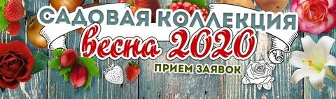 Русский огород магазин семена и саженцы