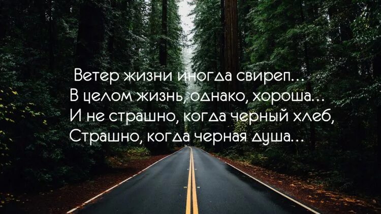 Жизнь иногда выпускает. Цитаты. цитаты про ветер. ветер жизни иногда. ветер жизни иногда свиреп в целом жизнь однако хороша.