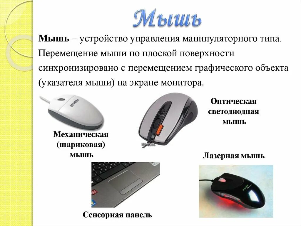 Движения мыши. Перемещение мыши. Мышь это устройство. Устройство мышки. Мышка в движении.