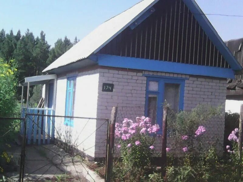 Авито павловск алтайский край недвижимость. Улица колядо павловск алтайский край. Недострой с павловск алтайский край ремзавод. Участок павловск алтайский край. Участок павловск алтайский край.