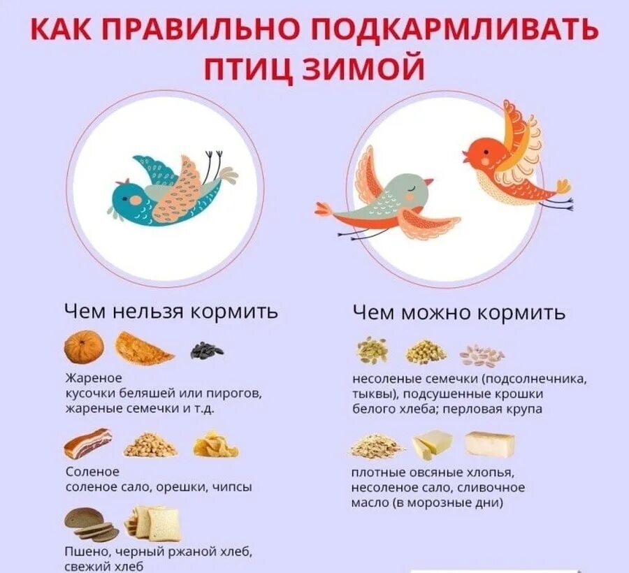 Какой хлеб давать курам