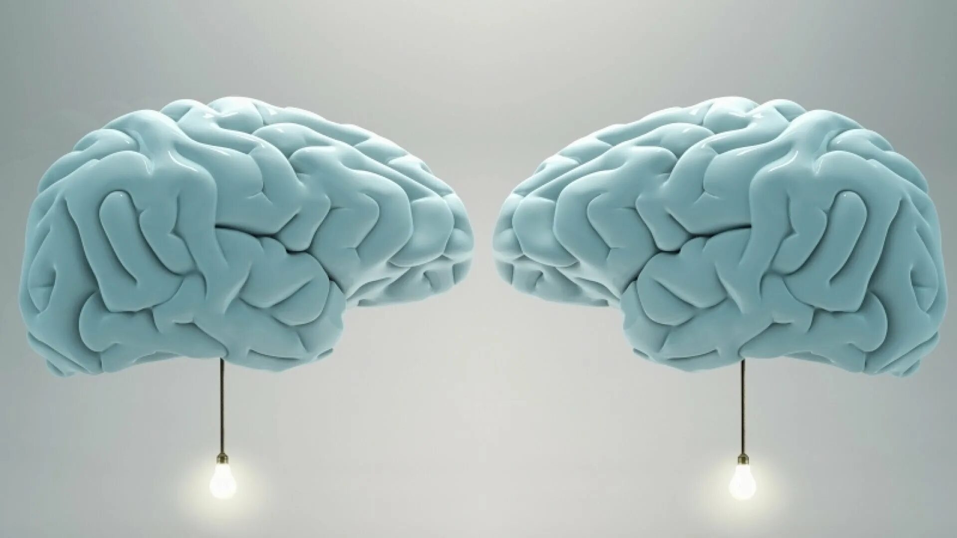 1 brain for 2. Один мозг на двоих. Один мозг на двоих пикча.