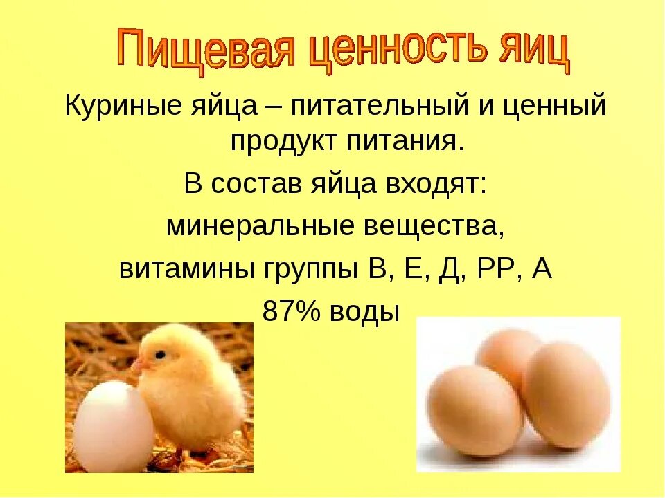 Информация о куриных яйцах. Яйцо полезные вещества. Качество яйца куриного. Полезные вещества в яйце курином.