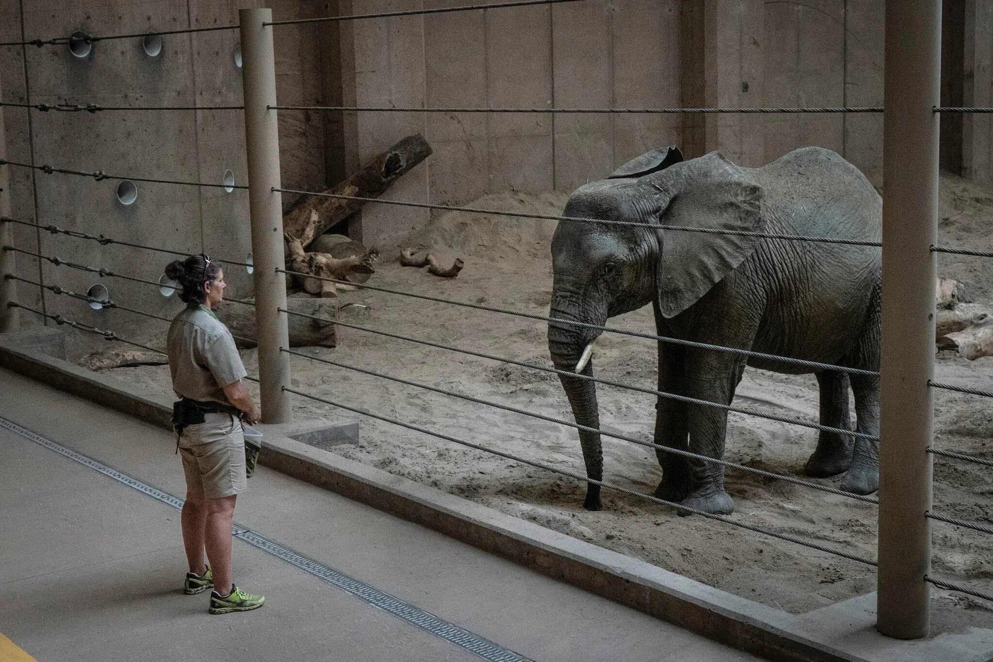 Advantages of keeping animals in zoos. Zoo people. people in the zoo. captivity in zoos. кто финансирует зоопарк.