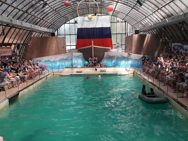 Проектирование здания дельфинария