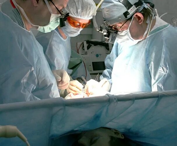 клиники хирургии пермь