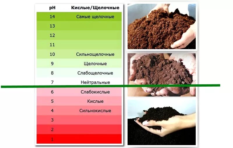 Почвенная кислотность. РН почвы шкала. Кислотность почвы PH 4.5-6. PH 12 кислотность почвы. Шкала кислотности почвы.