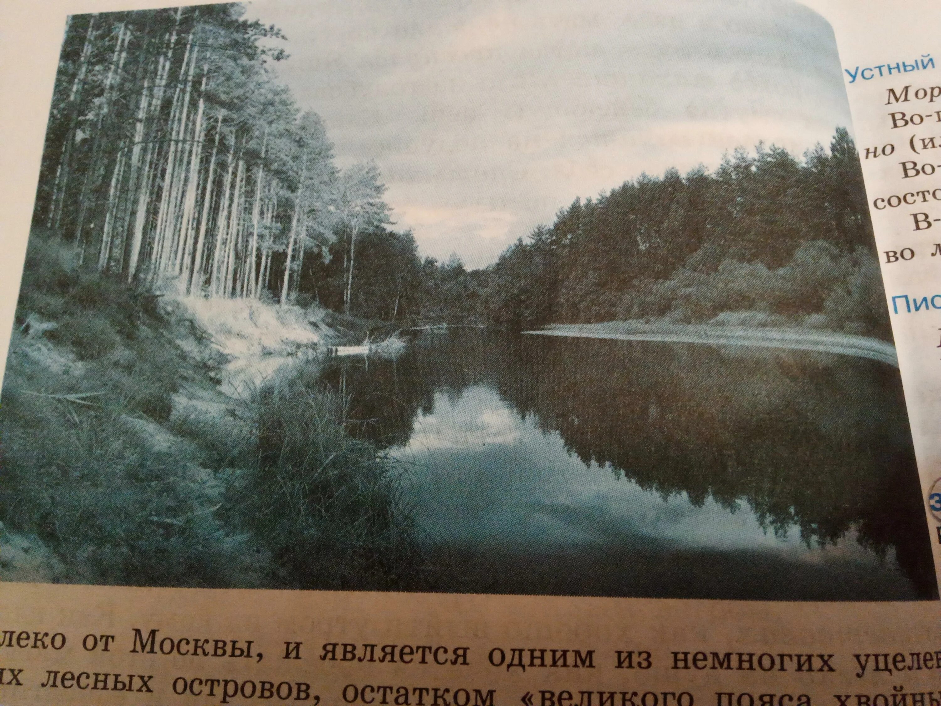 Фотография 10 предложений. Описать картину 10 предложений. Опиши картину 10 предложениями. Опишите картину тест. Описать картину 9 10 предложениями.