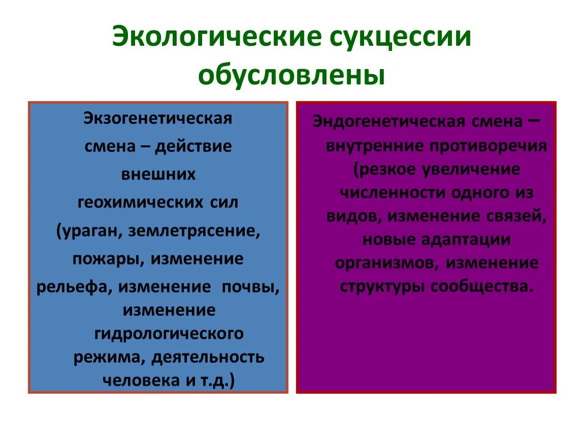 Экологическая сукцессия. Примеры первичной и вторичной сукцессии. Сукцессия это в экологии. Экологическая сукцессия первичная и вторичная.